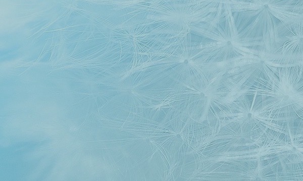 Din Biografi – selvbiografi